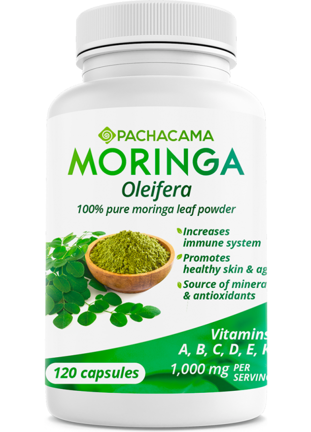 Moringa Oleifera Pachacama